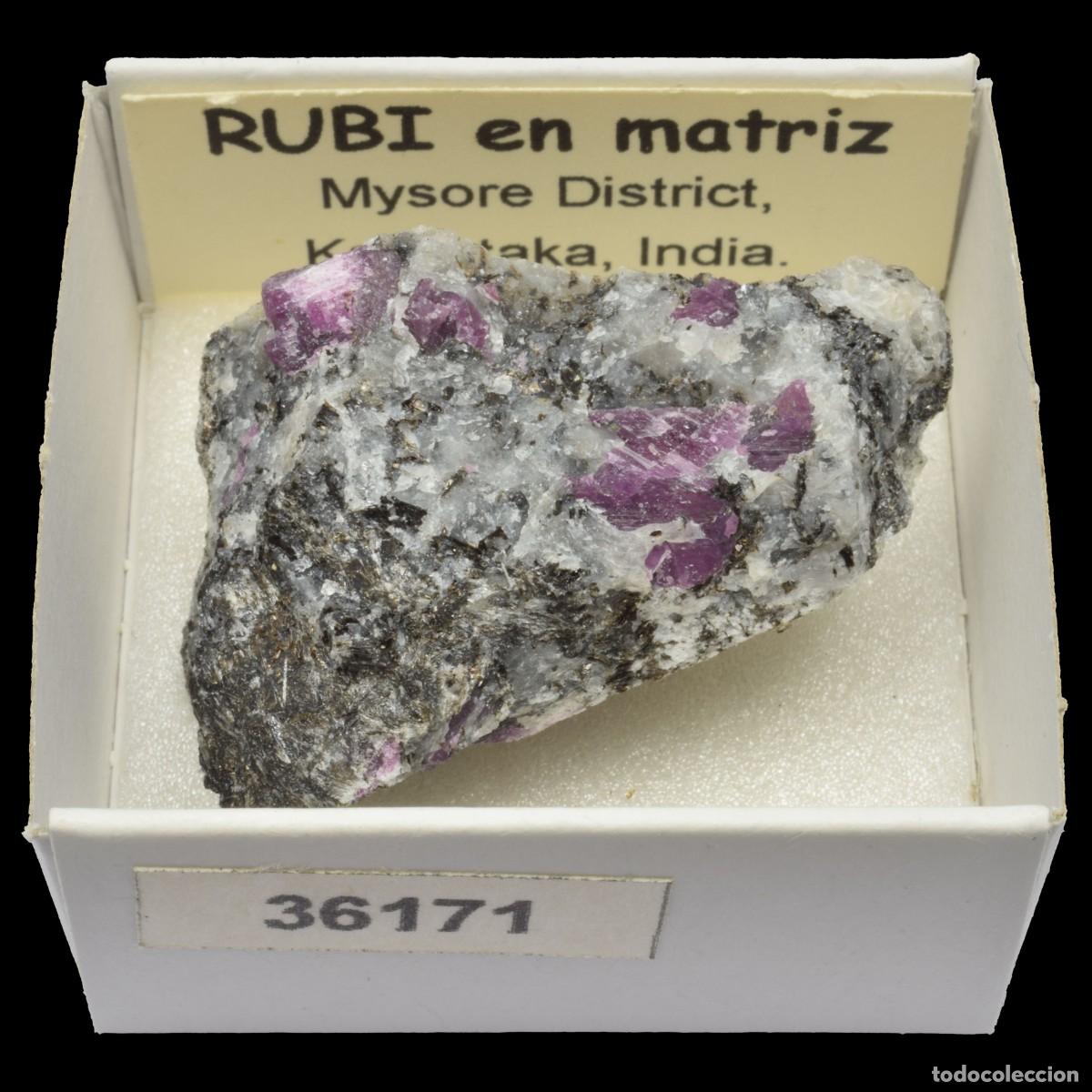 Collectionnisme de min&eacute;raux: RUBI en matriz (Mysore district, Karnataka, India) #36171