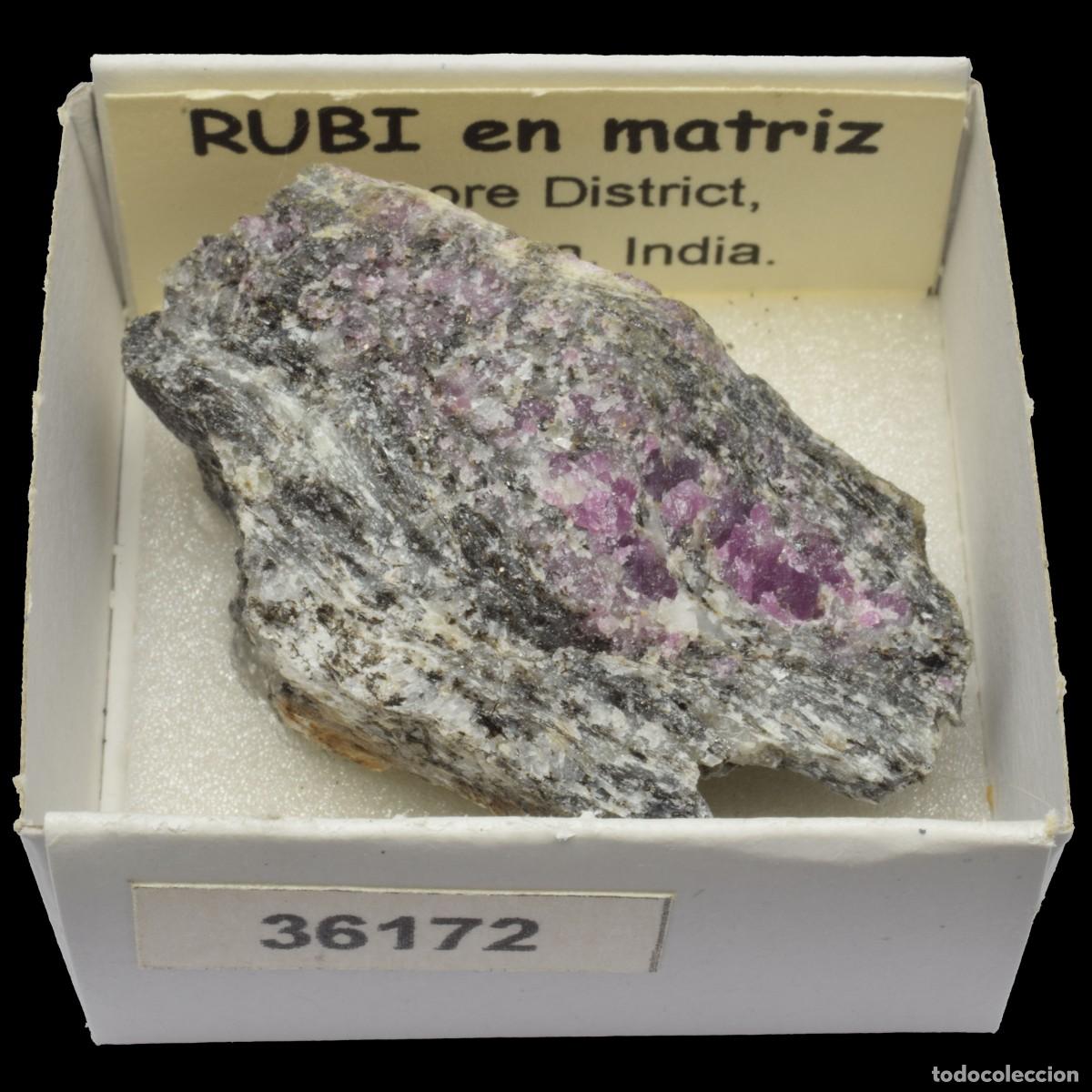 Collectionnisme de min&eacute;raux: RUBI en matriz (Mysore district, Karnataka, India) #36172