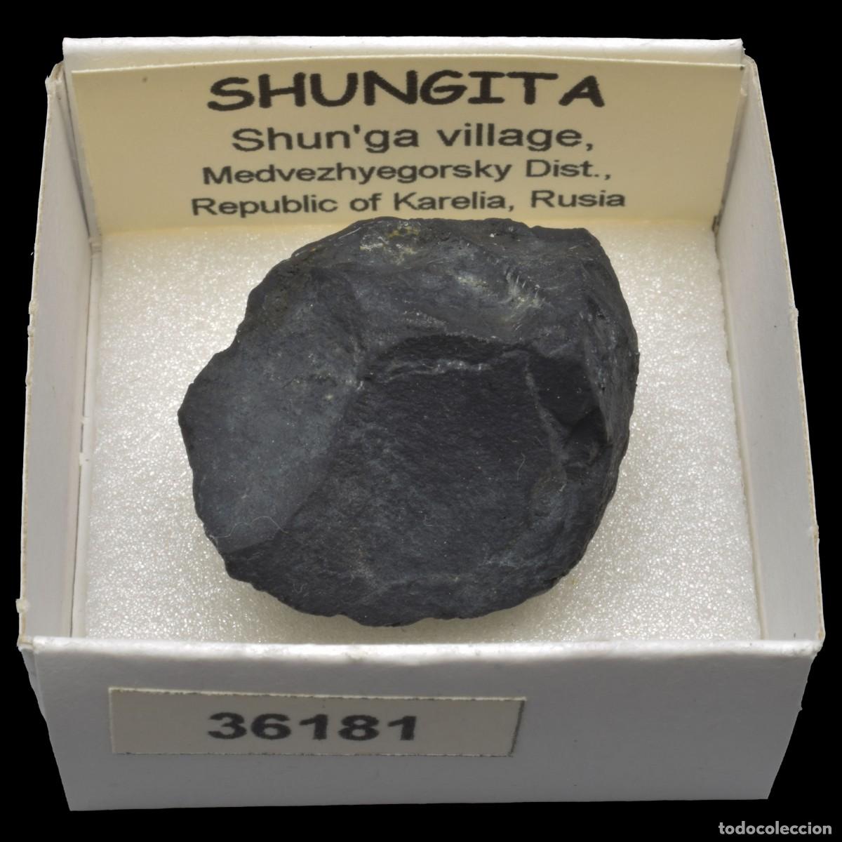 Coleccionismo de minerales: SHUNGITA (Shun'ga village, Medvezhyegorsky, district, Republic of Karelia, Rusia) #36181