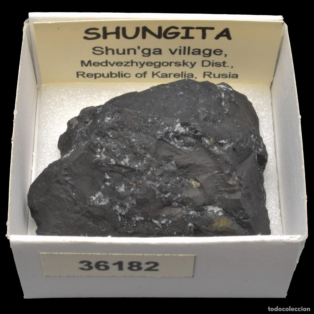 Collectionnisme de min&eacute;raux: SHUNGITA (Shun'ga village, Medvezhyegorsky, district, Republic of Karelia, Rusia) #36182