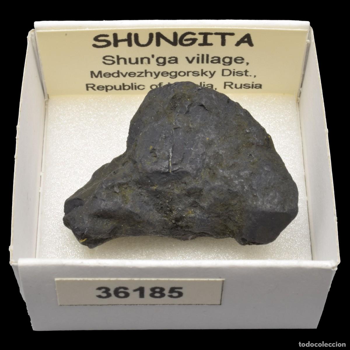 Coleccionismo de minerales: SHUNGITA (Shun'ga village, Medvezhyegorsky, district, Republic of Karelia, Rusia) #36185