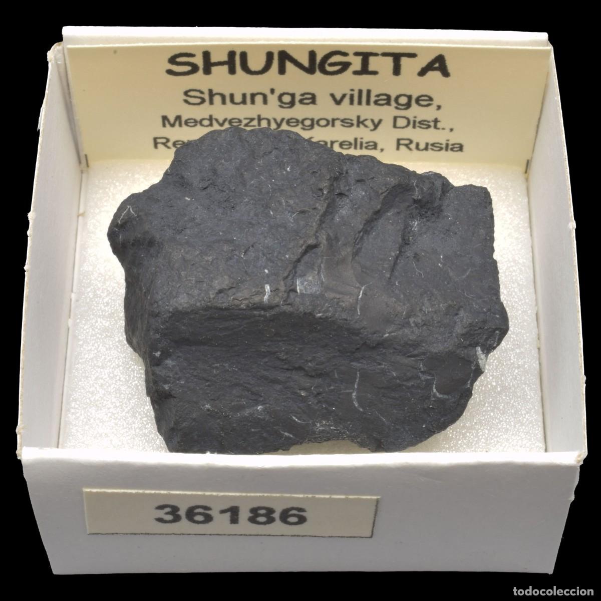 Coleccionismo de minerales: SHUNGITA (Shun'ga village, Medvezhyegorsky, district, Republic of Karelia, Rusia) #36186