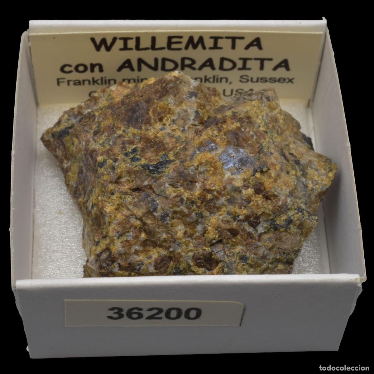 Coleccionismo de minerales: WILLEMITA con ANDRADITA (Franklin mines, Franklin, Sussex Co., New Jersey, USA) #36200