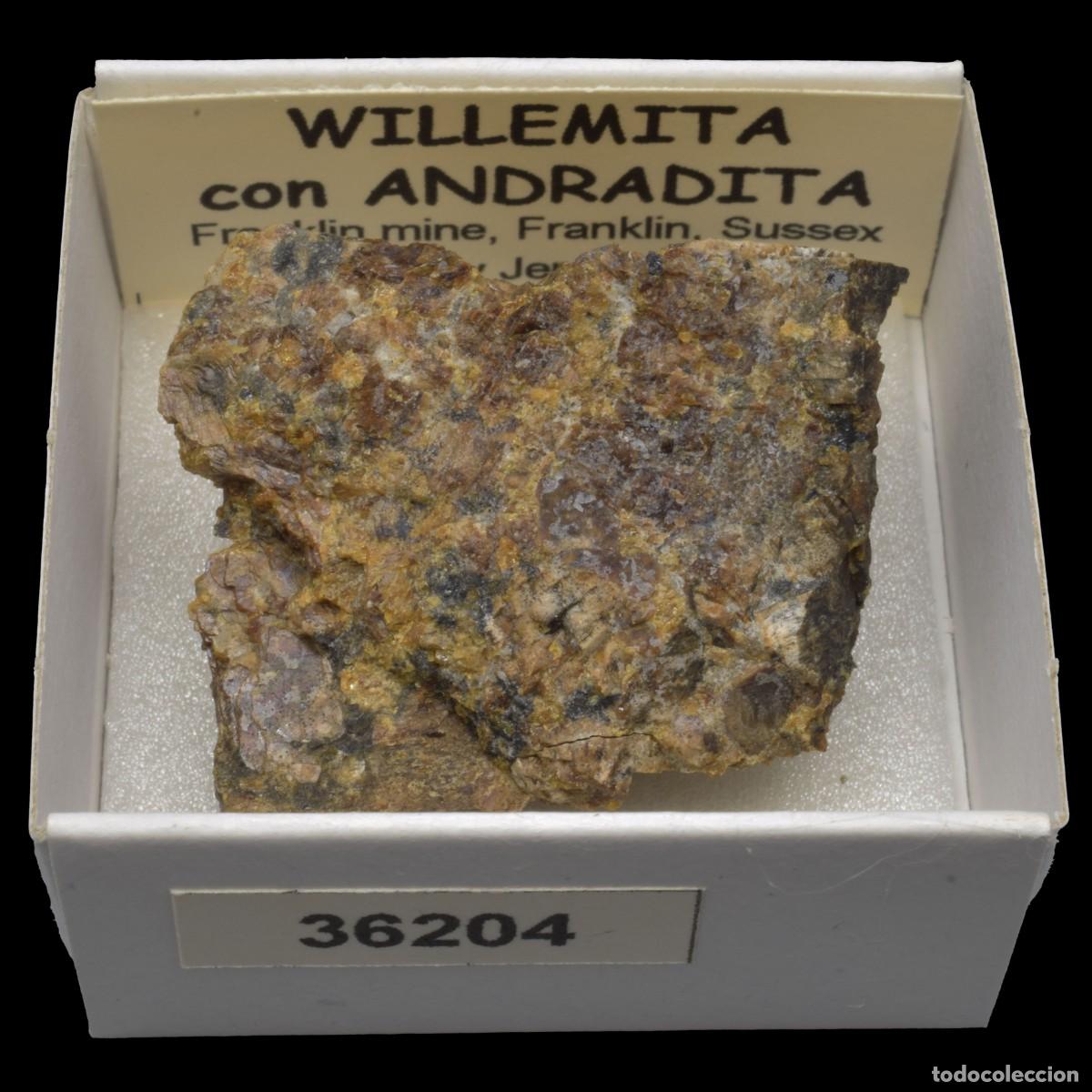Coleccionismo de minerales: WILLEMITA con ANDRADITA (Franklin mines, Franklin, Sussex Co., New Jersey, USA) #36204