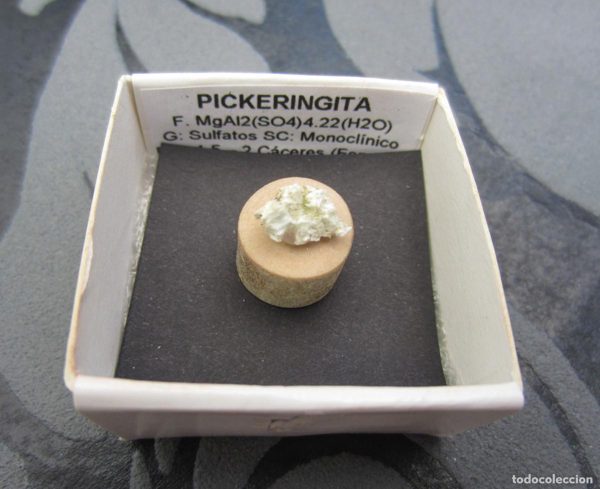 Coleccionismo de minerales: MINERAL PICKERINGITA MINERALES EN CAJA 4X4 CM
