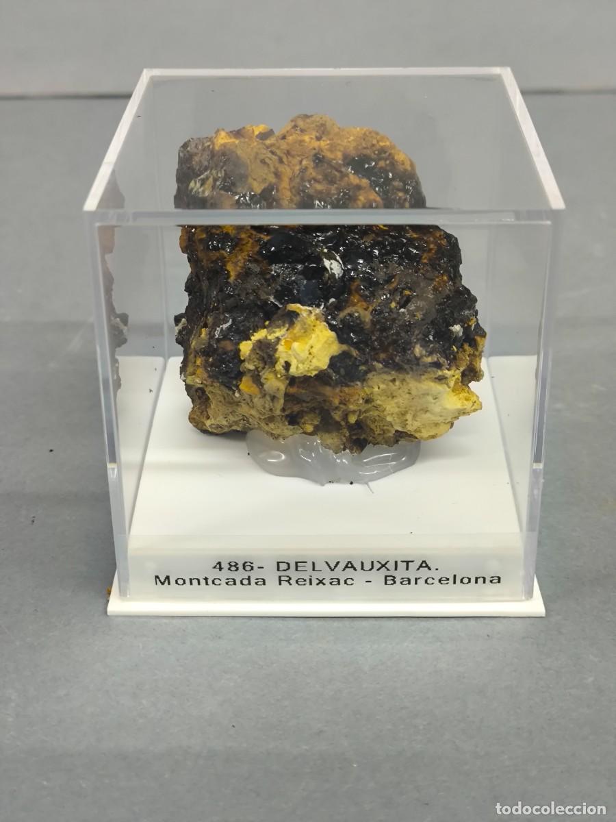 Coleccionismo de minerales: DELVAUXITA - MINERAL. Barcelona.