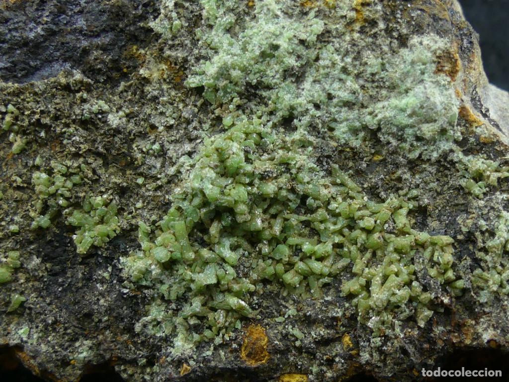 Coleccionismo de minerales: Piromorfita, Vegadeo, Asturias