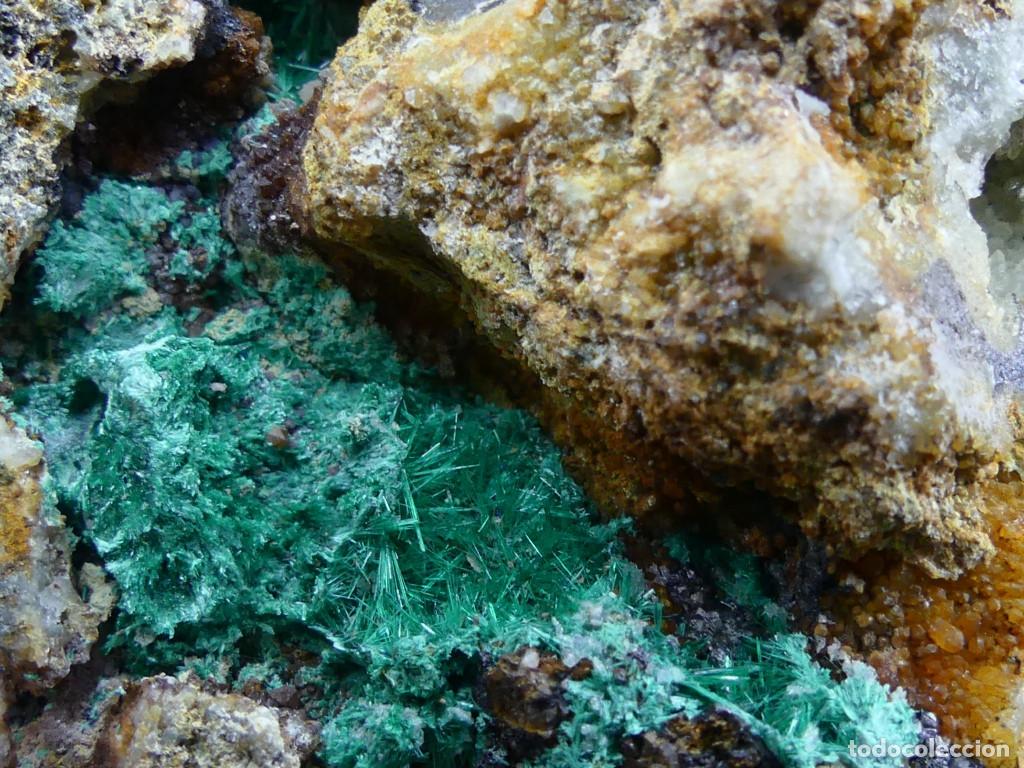 Coleccionismo de minerales: Brochantita y Linarita, Atacama, Chile