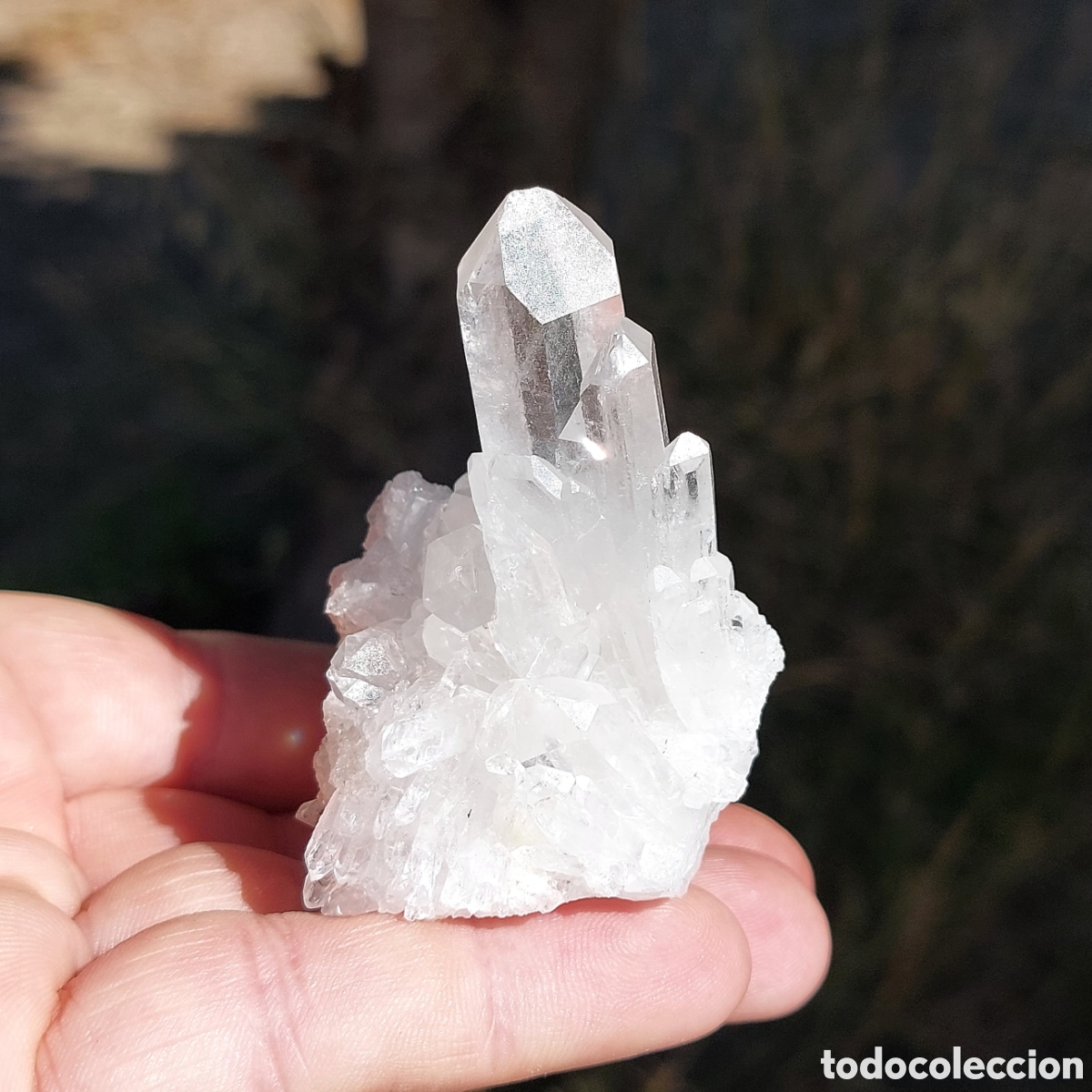 Coleccionismo de minerales: Cuarzo Cristal Natural Formato Drusa