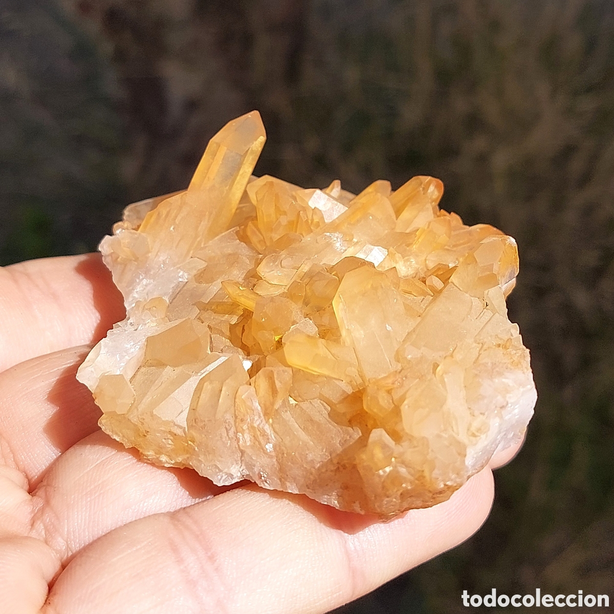 Coleccionismo de minerales: Maravillosa Drusa de Cuarzo Hematoide de Marruecos