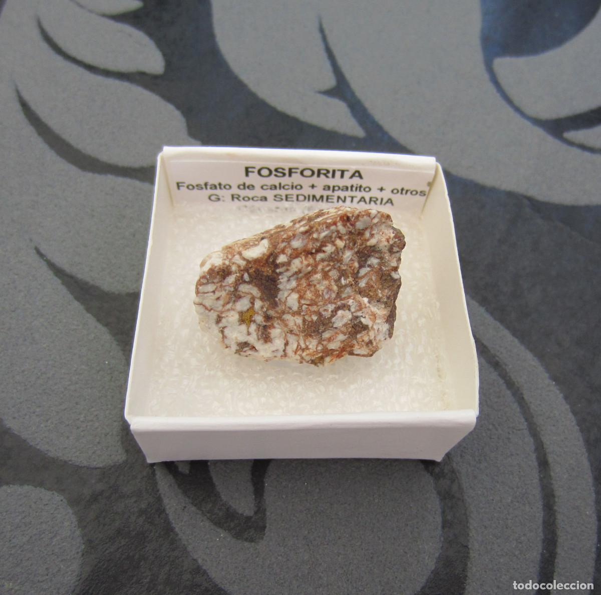 Coleccionismo de minerales: MINERAL ROCAS FOSFORITA MINERALES EN CAJA 4X4 CM