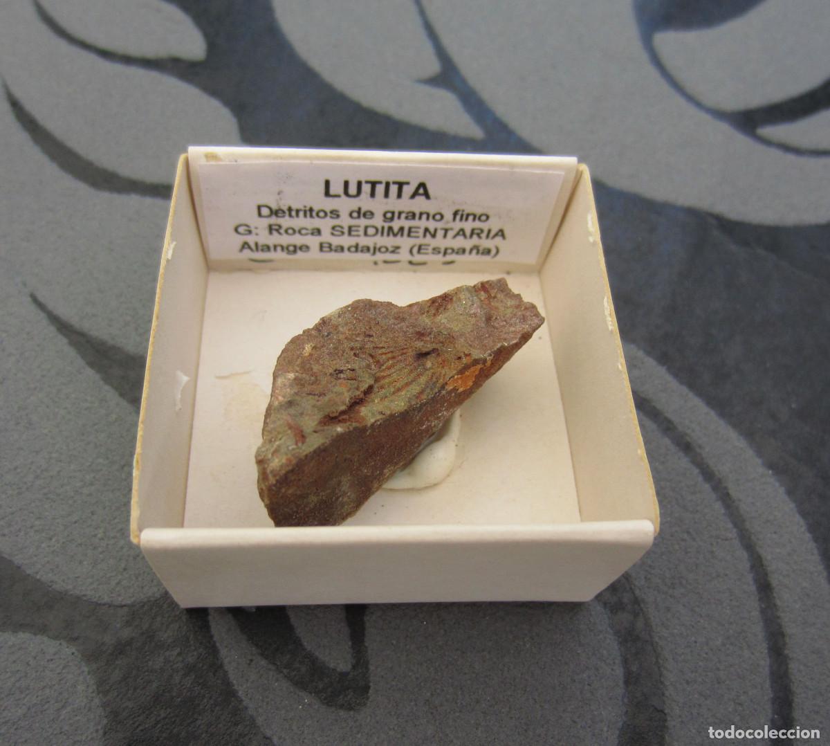 Coleccionismo de minerales: MINERAL ROCAS LUTITA MINERALES EN CAJA 4X4 CM