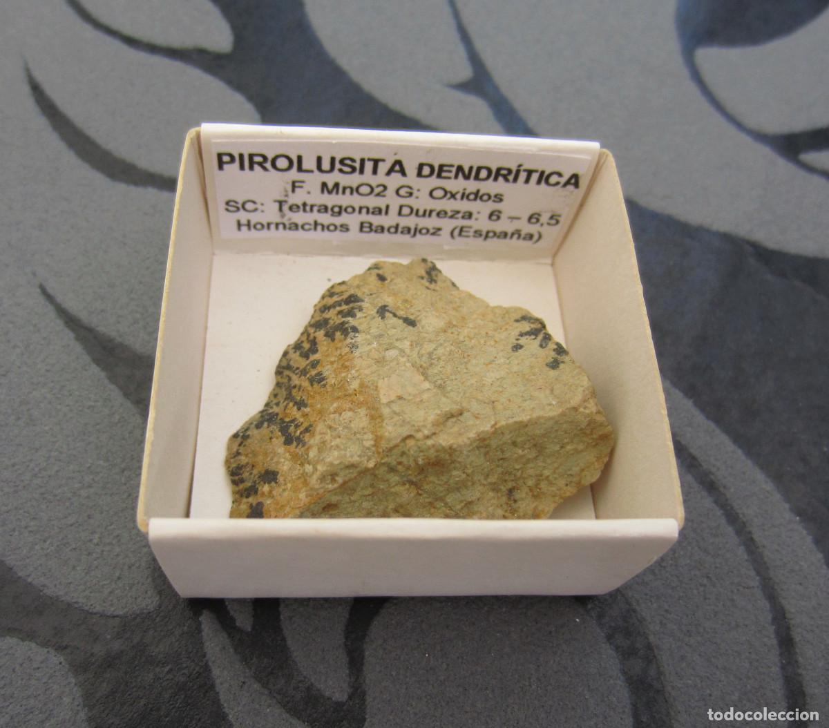 Coleccionismo de minerales: MINERAL PIROLUSITA DENDRITICA MINERALES EN CAJA 4X4 CM