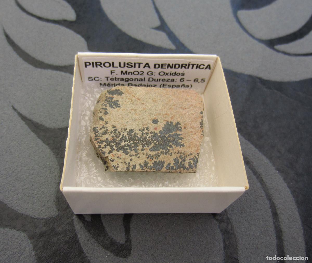Coleccionismo de minerales: MINERAL PIROLUSITA DENDRITICA MINERALES EN CAJA 4X4 CM
