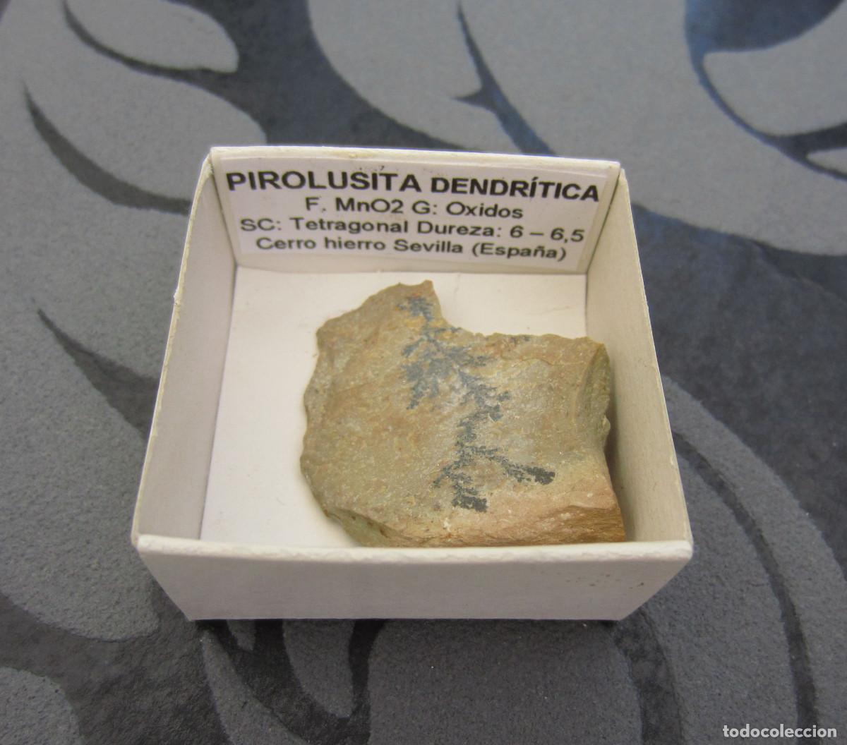 Coleccionismo de minerales: MINERAL PIROLUSITA DENDRITICA MINERALES EN CAJA 4X4 CM