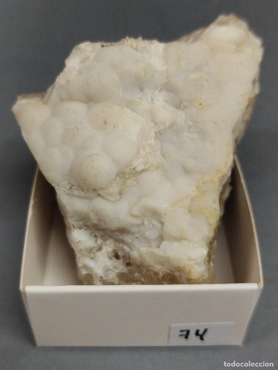 Coleccionismo de minerales: CALCEDONIA - MINERAL. 4X4 . C&oacute;rdoba