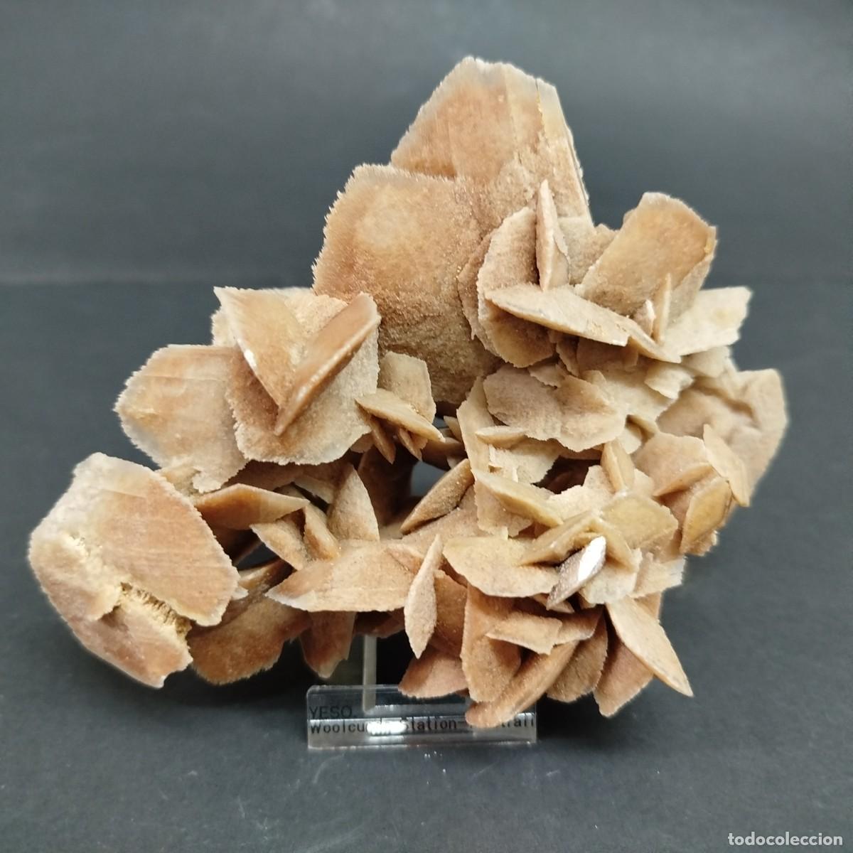 Coleccionismo de minerales: ROSA DE YESO. - MINERAL. Australia