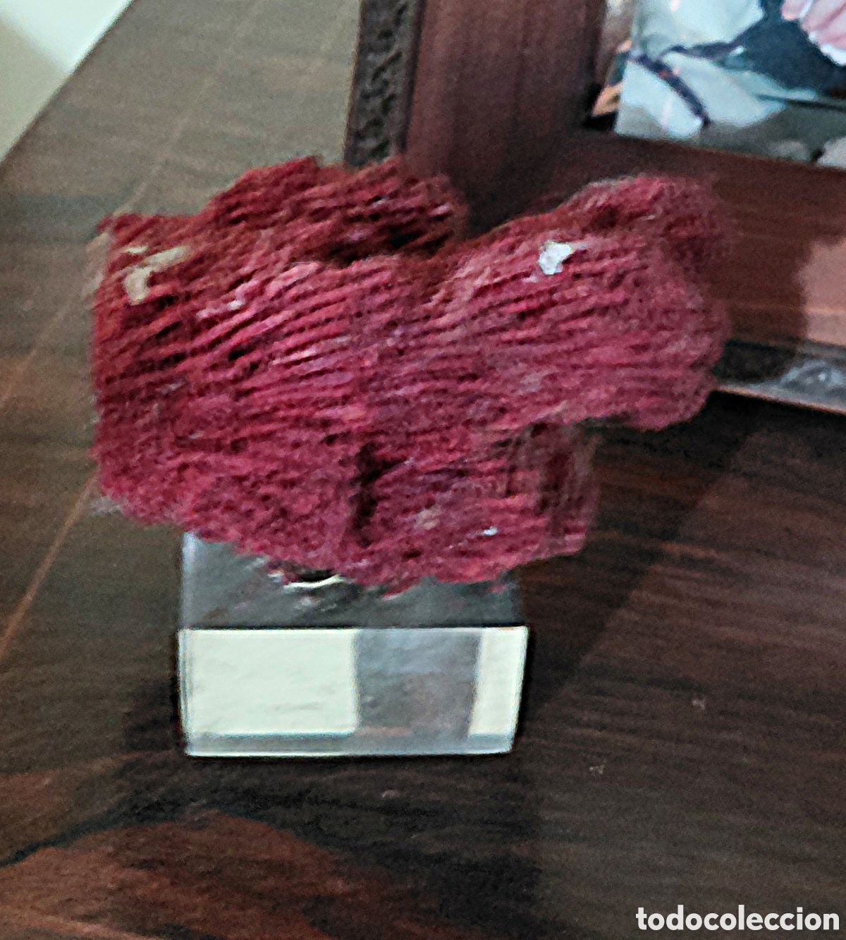 Coleccionismo de minerales: Antiguo Coral Rojo &Oacute;rgano de Tubos (Tubipora musica) con Peana - 13 cm
