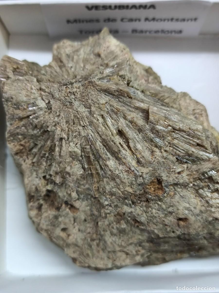 Coleccionismo de minerales: VESUBIANA - MINERAL. Barcelona