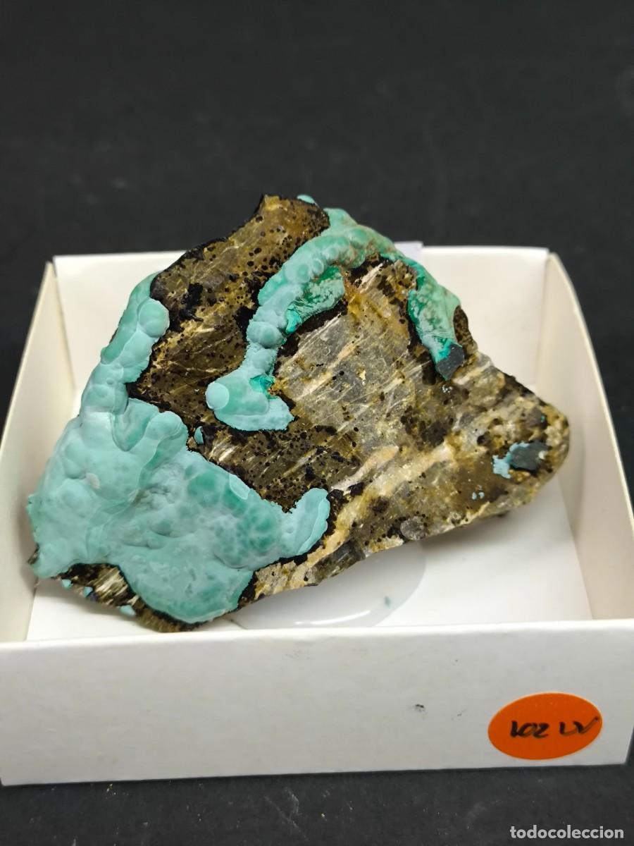 Coleccionismo de minerales: MALAQUITA - MINERAL. Girona
