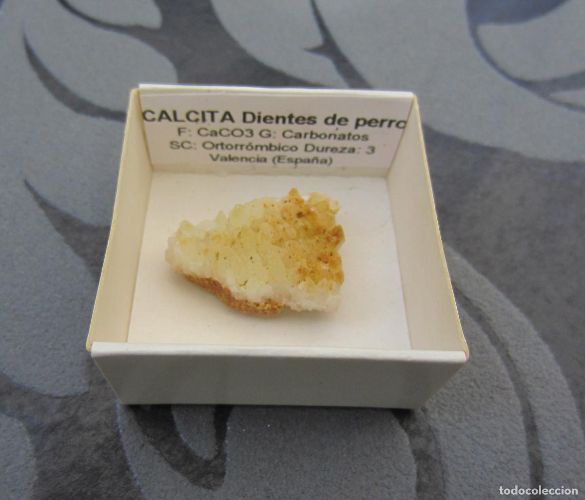 Coleccionismo de minerales: MINERAL CALCITA DIENTES DE PERRO MINERALES EN CAJA 4X4 CM