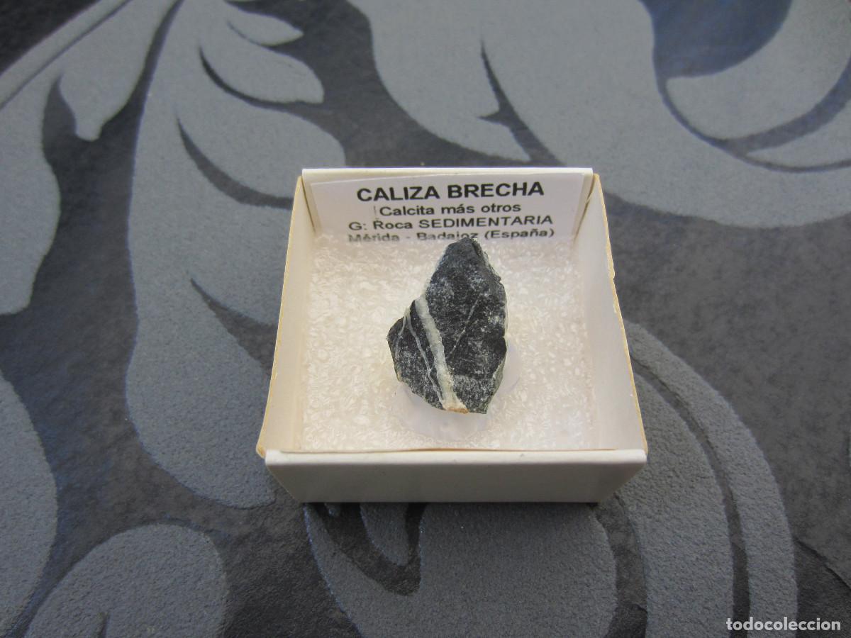 Coleccionismo de minerales: MINERAL ROCAS CALIZA BRECHA MINERALES EN CAJA 4X4 CM