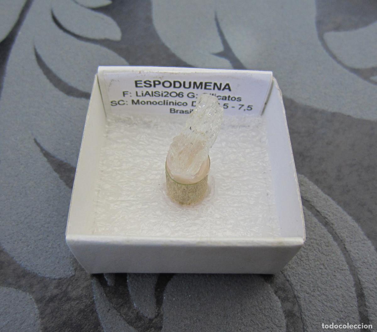 Coleccionismo de minerales: MINERAL ESPODUMENA MINERALES EN CAJA 4X4 CM