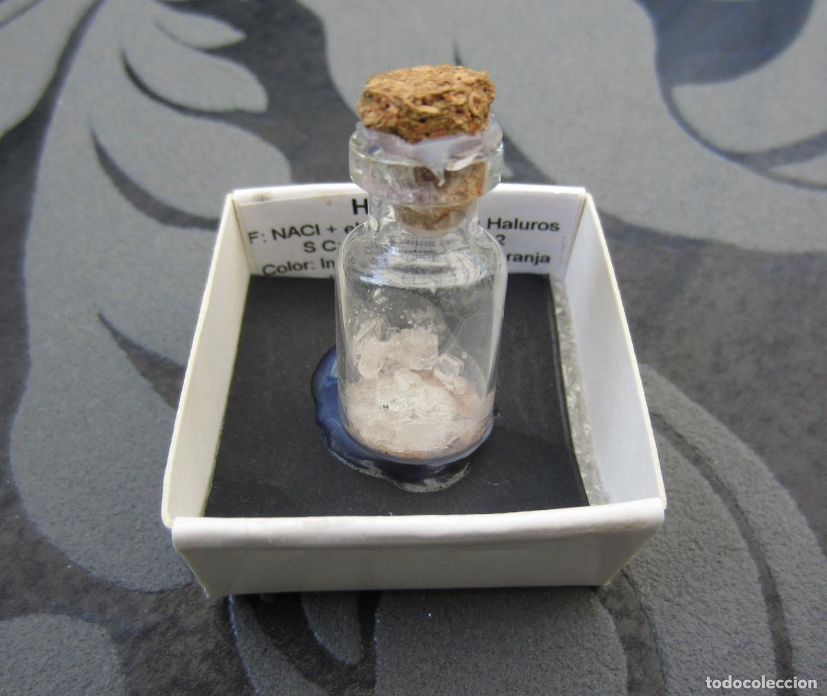 Coleccionismo de minerales: MINERAL HALITA MINERALES EN CAJA 4X4 CM