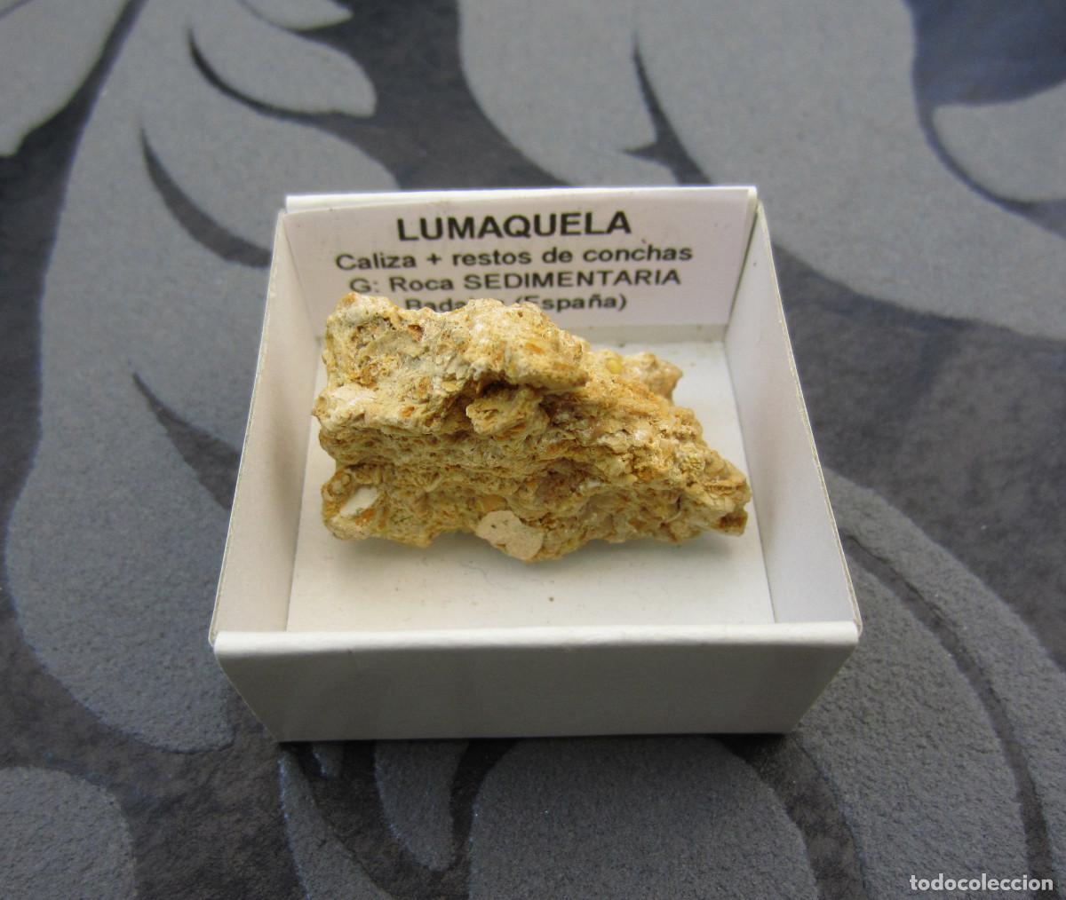 Coleccionismo de minerales: MINERAL ROCAS LUMAKELA MINERALES EN CAJA 4X4 CM