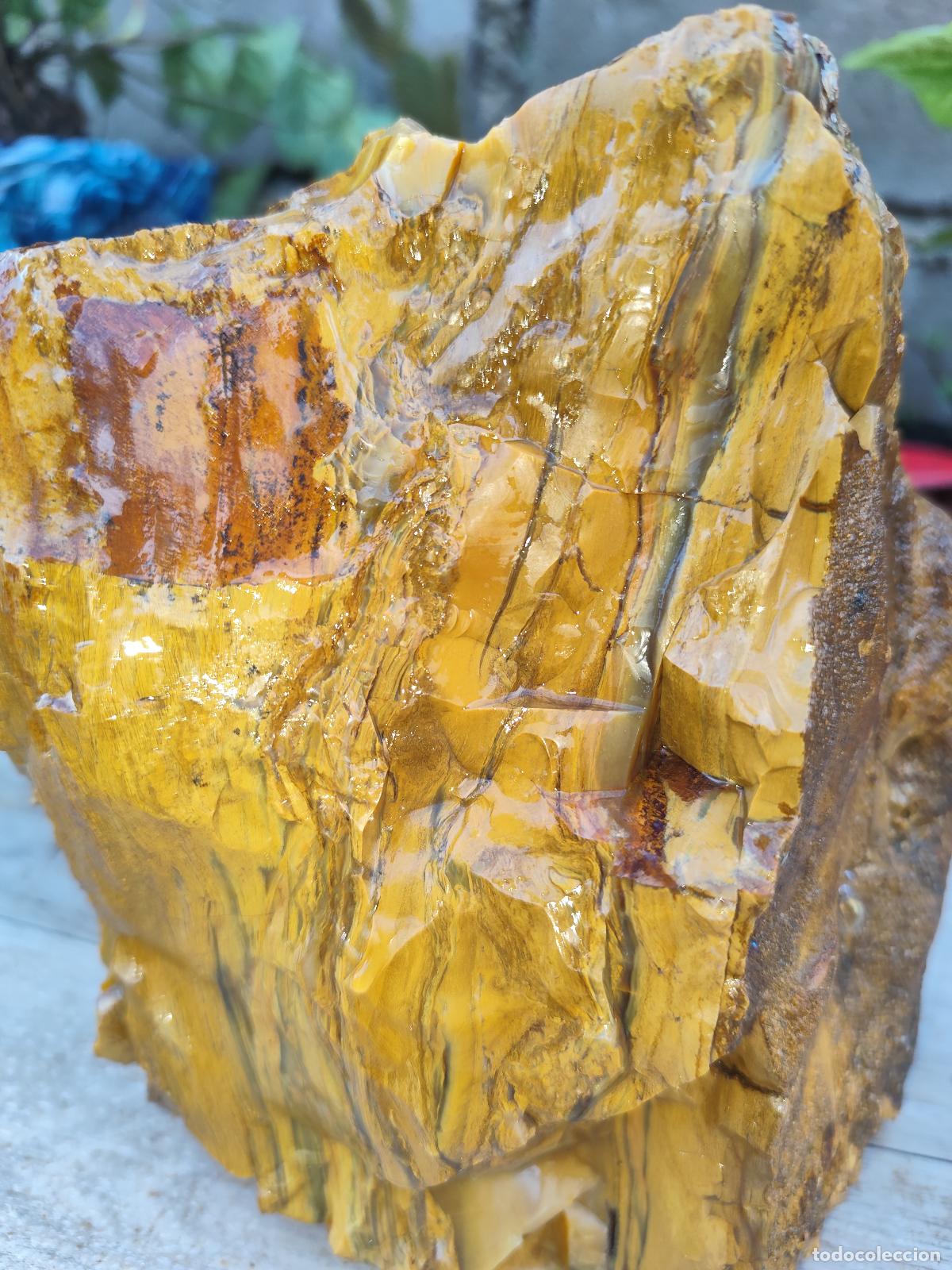Coleccionismo de minerales: Vendo est&aacute; roca al mayor postor. A&uacute;n no descifr&oacute; q es esa roca pero se ve muy linda.