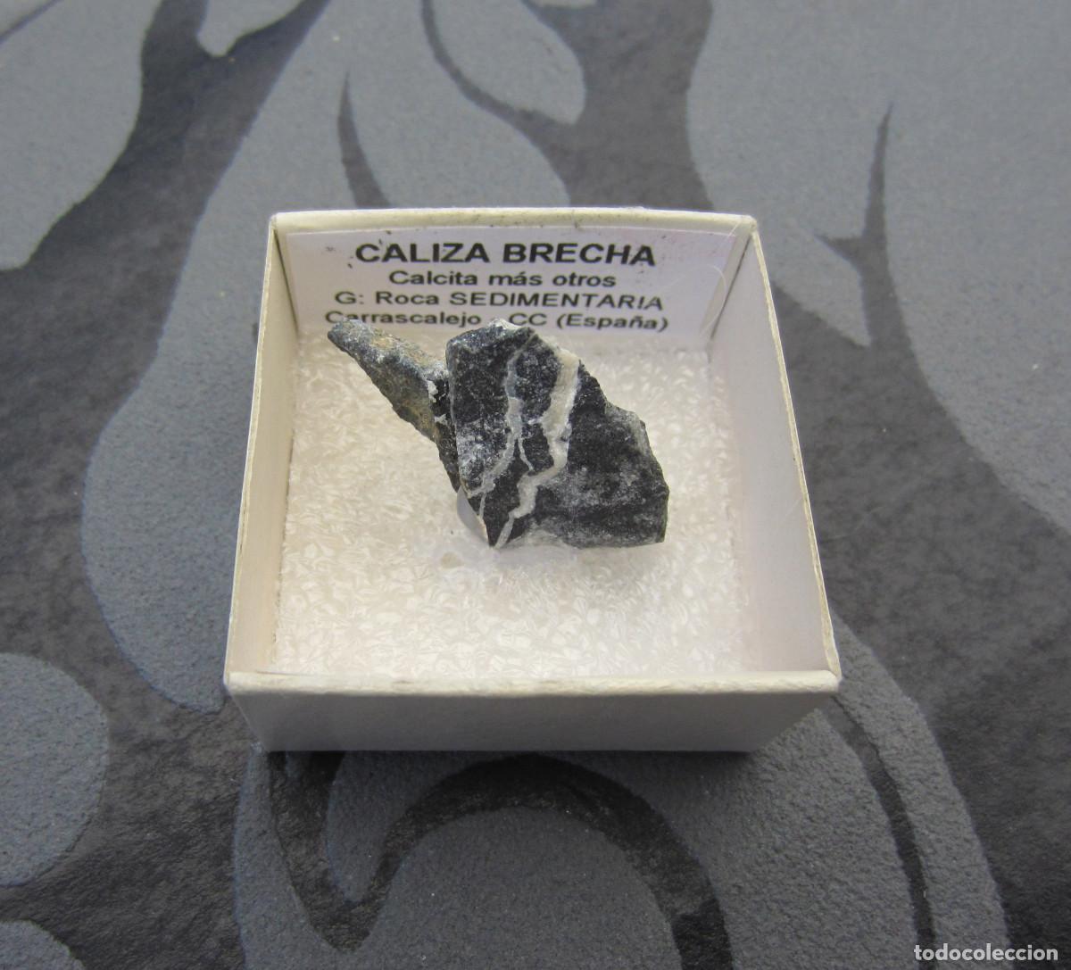 Coleccionismo de minerales: MINERAL CALIZA BRECHA MINERALES EN CAJA 4X4 CM