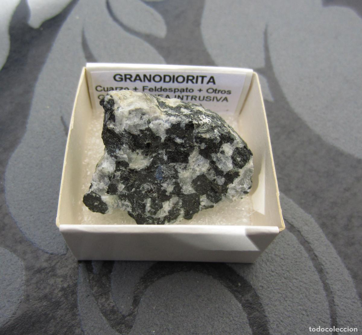 Coleccionismo de minerales: MINERAL ROCAS GRANODIORITA MINERALES EN CAJA 4X4 CM