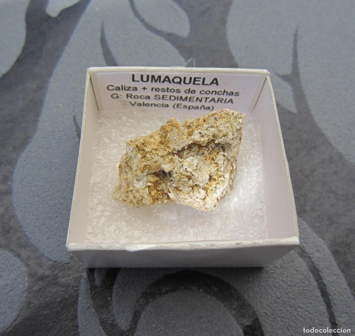 Coleccionismo de minerales: MINERAL ROCAS LUMAQUELA MINERALES EN CAJA 4X4 CM