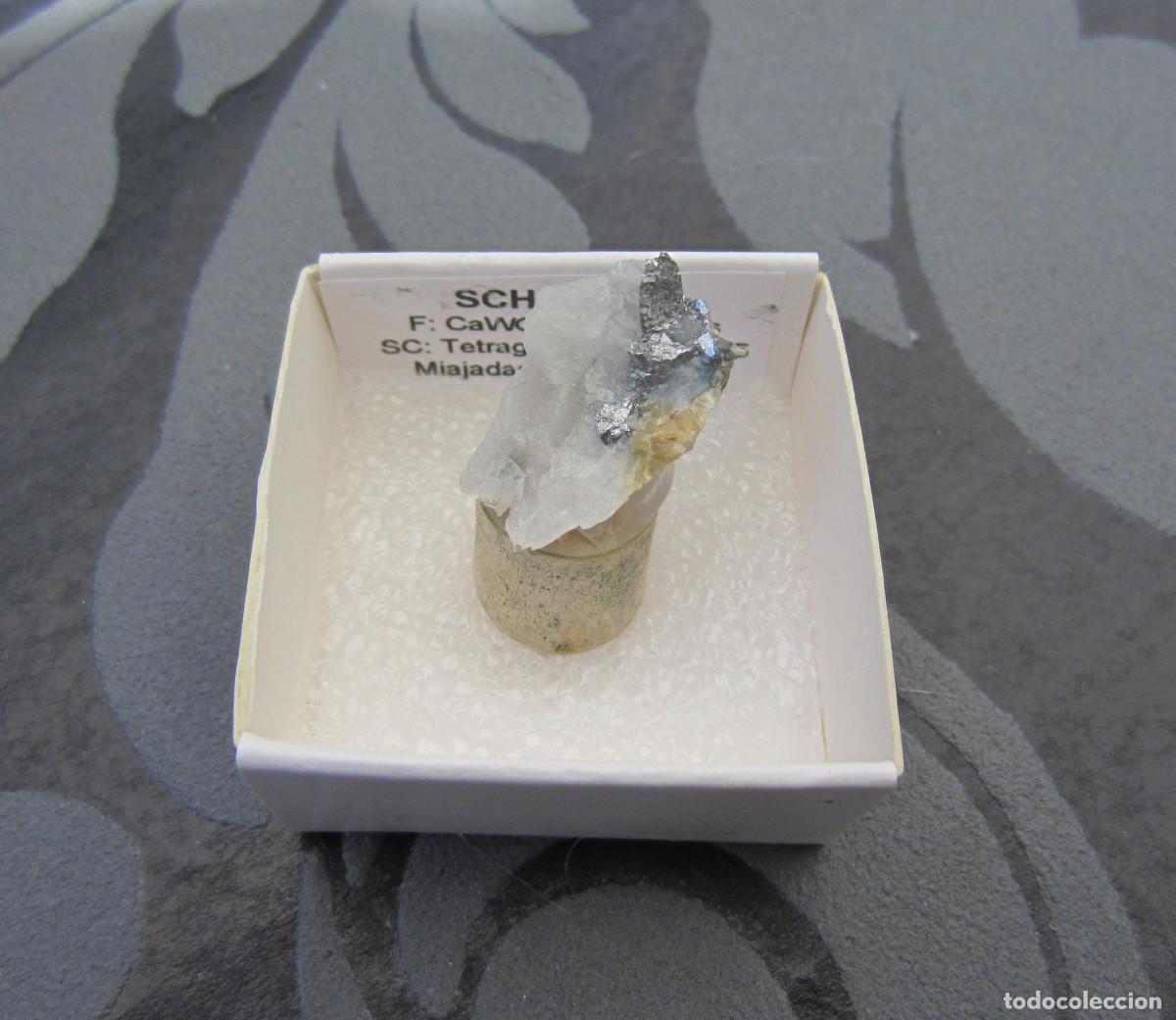Coleccionismo de minerales: MINERAL SCHEELITA Y POSIBLE ARSENOPIRITA MINERALES EN CAJA 4X4 CM
