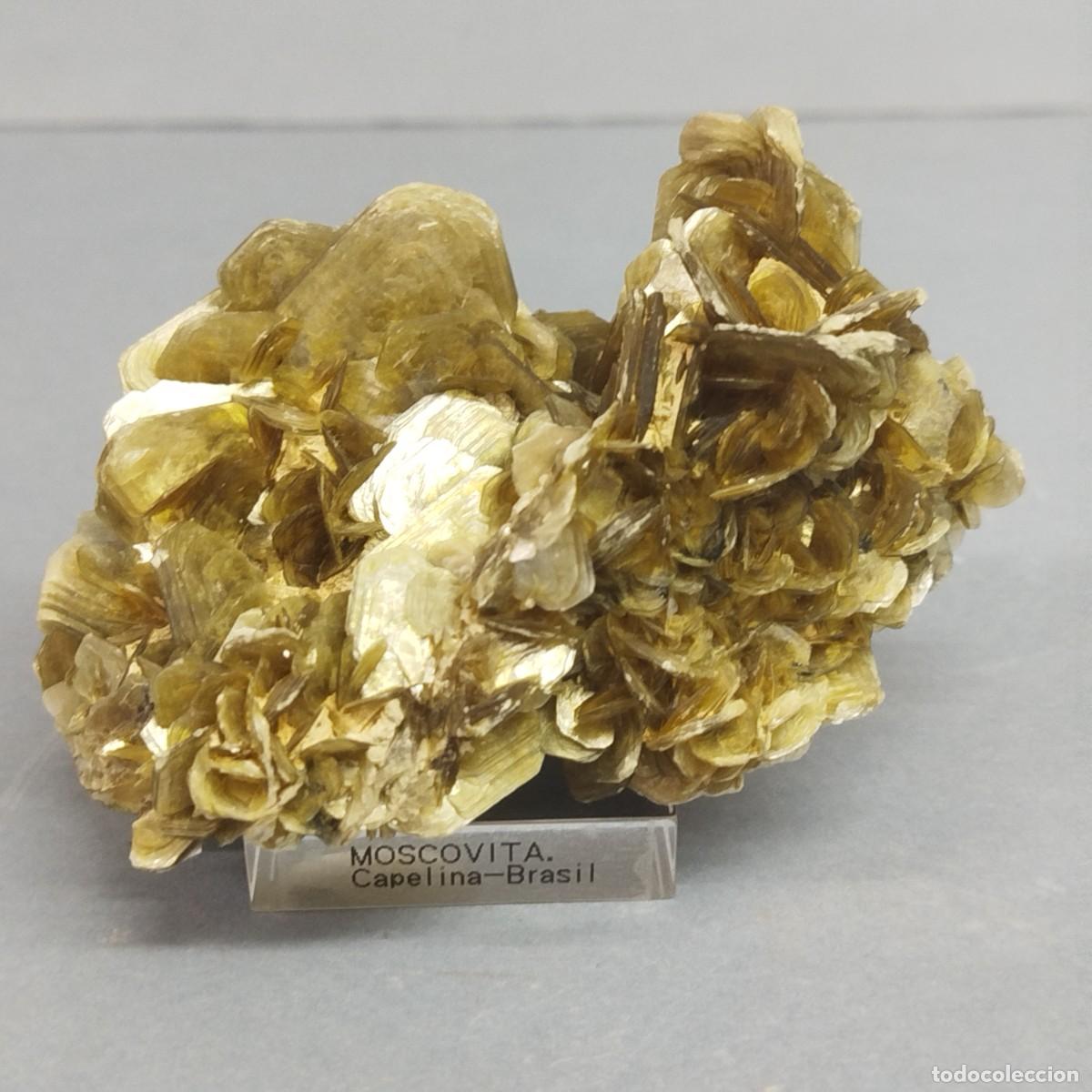 Coleccionismo de minerales: MICA MOSCOVITA . Mineral