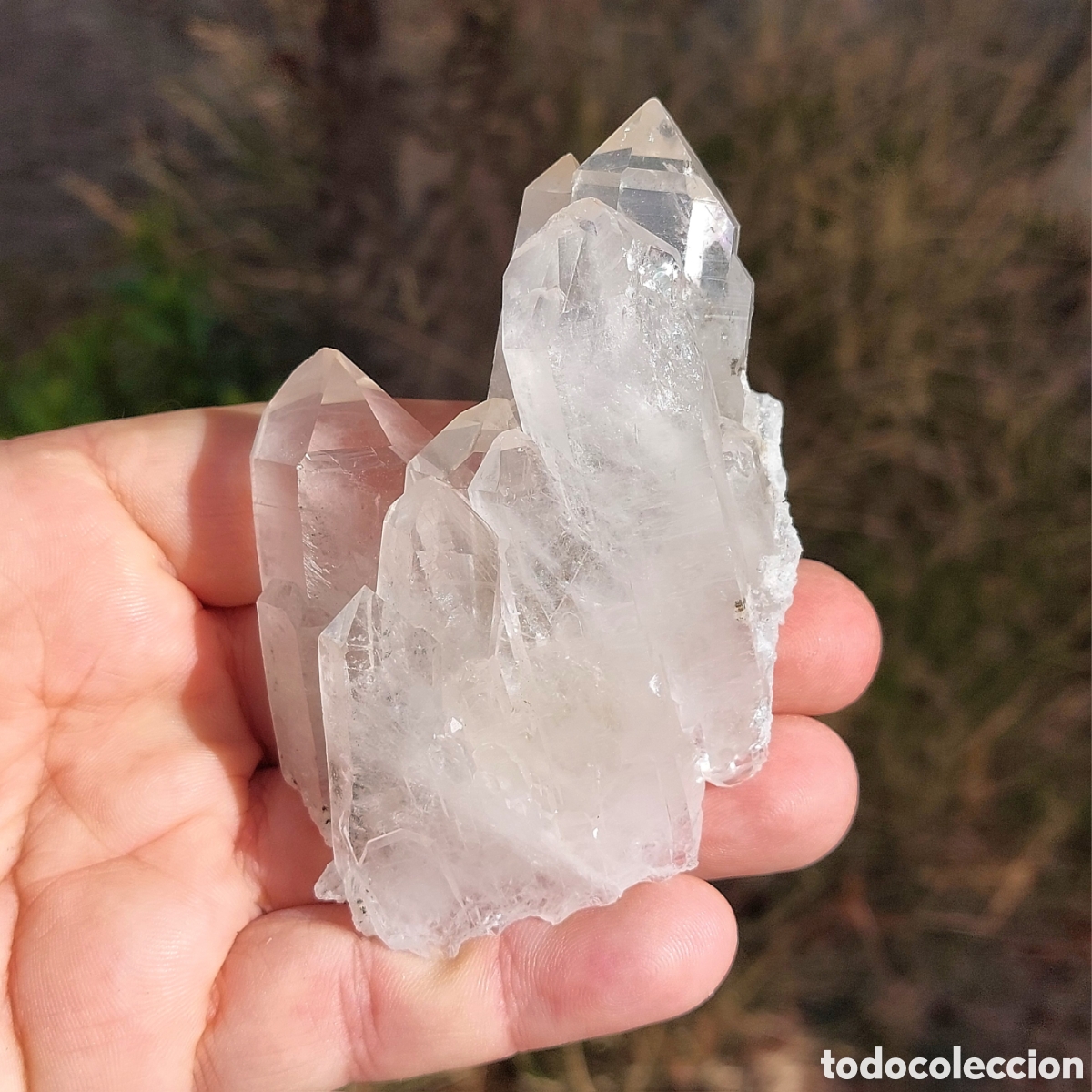 Coleccionismo de minerales: Cuarzo Cristal Natural de Brasil
