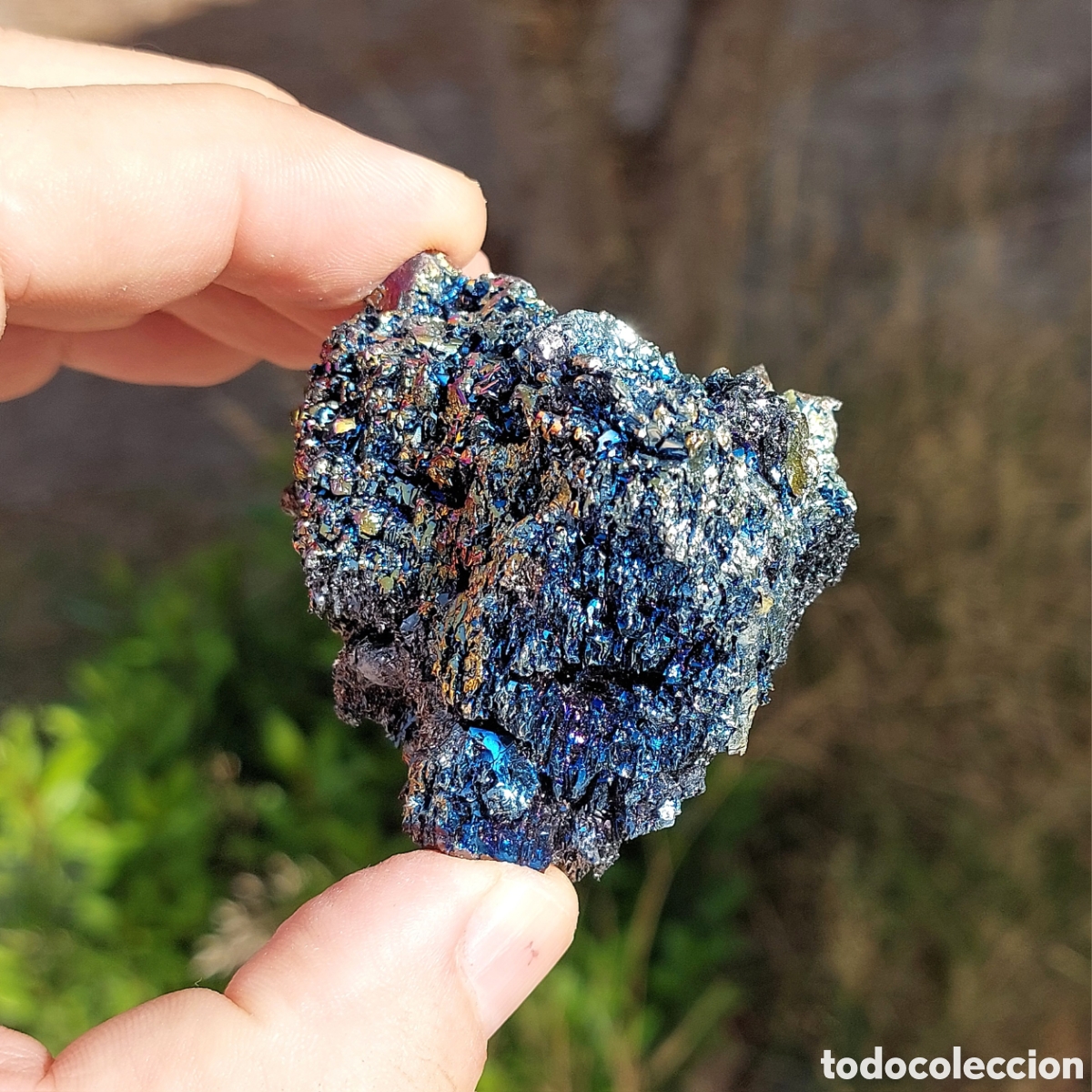 Coleccionismo de minerales: Carburo de Silicio Cristales