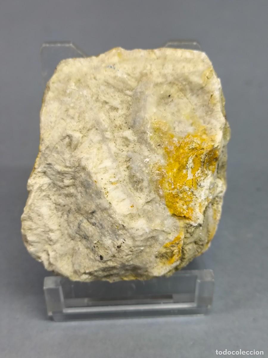 Coleccionismo de minerales: FOSFORITA - MINERAL. C&aacute;ceres.
