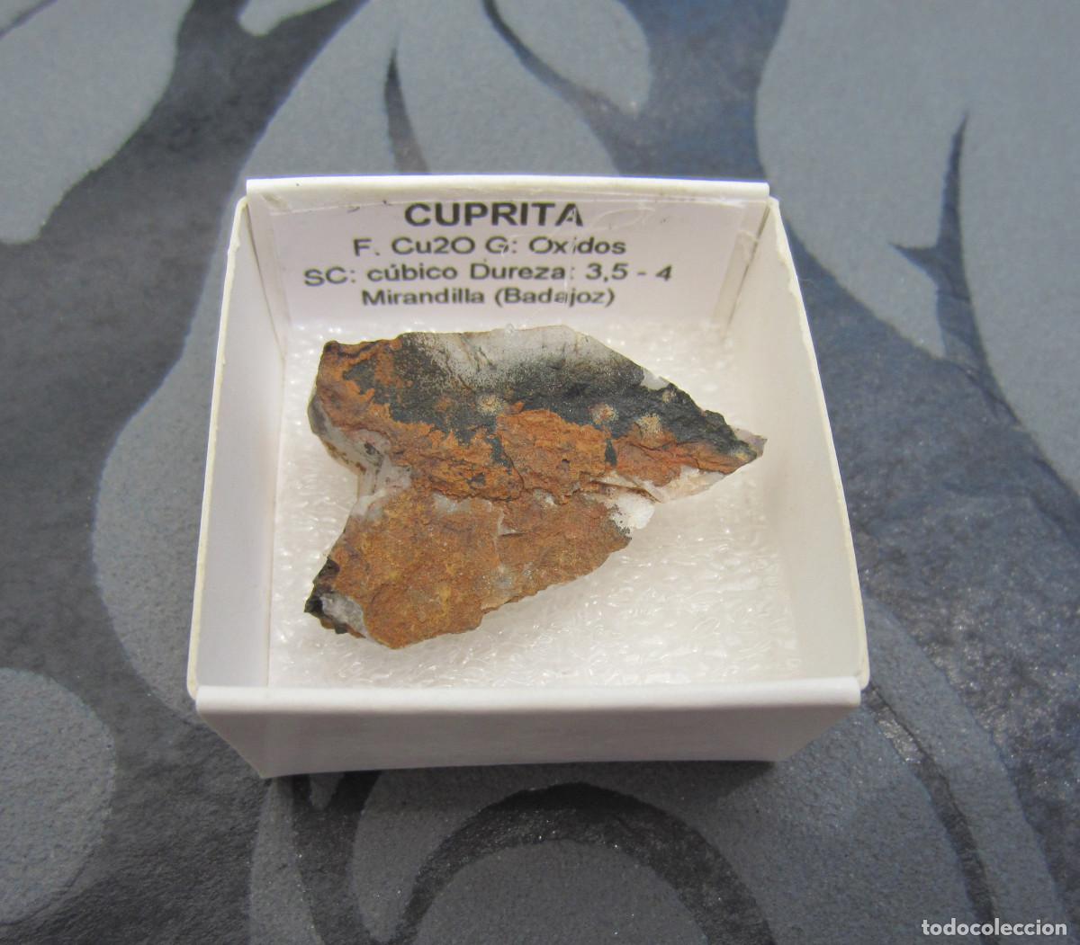 Colecionismo de minerais: MINERAL CUPRITA MINERALES EN CAJA 4X4 CM