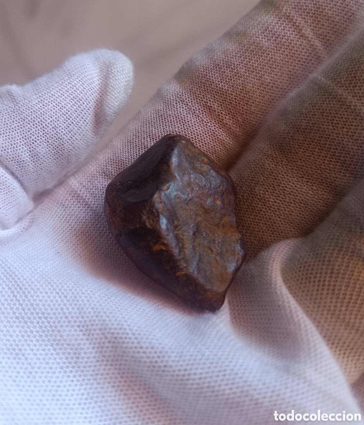 Coleccionismo de minerales: Meteorito f&eacute;rrico Vaca Muerta Chile 21,84 gr