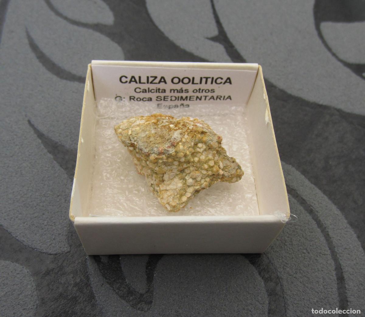 Coleccionismo de minerales: MINERAL ROCAS CALIZA OOLITICA MINERALES EN CAJA 4X4 CM