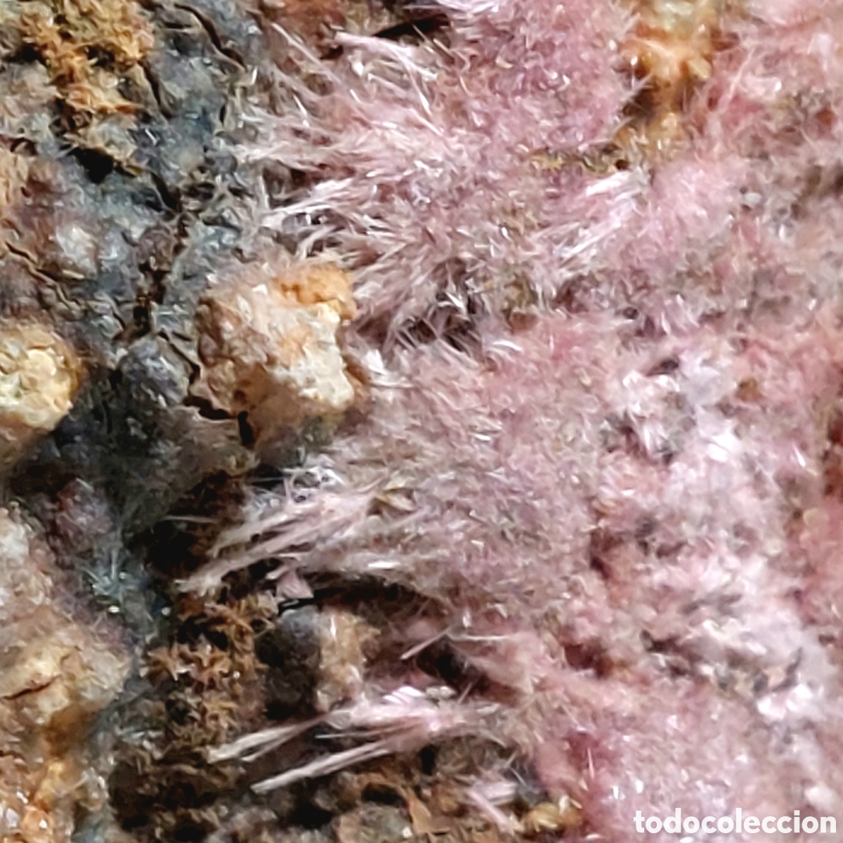 Coleccionismo de minerales: Mineral de Eritrina de Marruecos