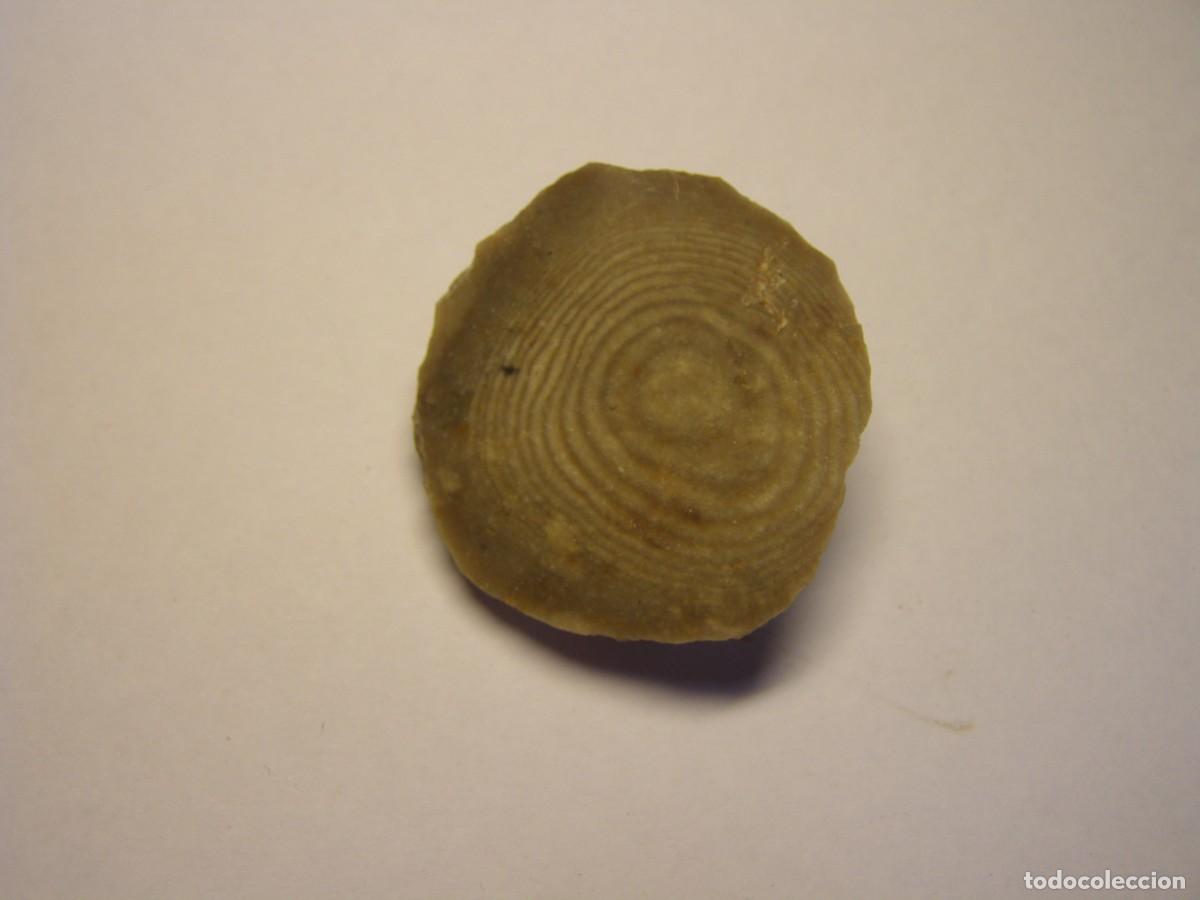 Coleccionismo de minerales: Trozo de mineral de s&iacute;lex con curiosos anillos de Liesegang.