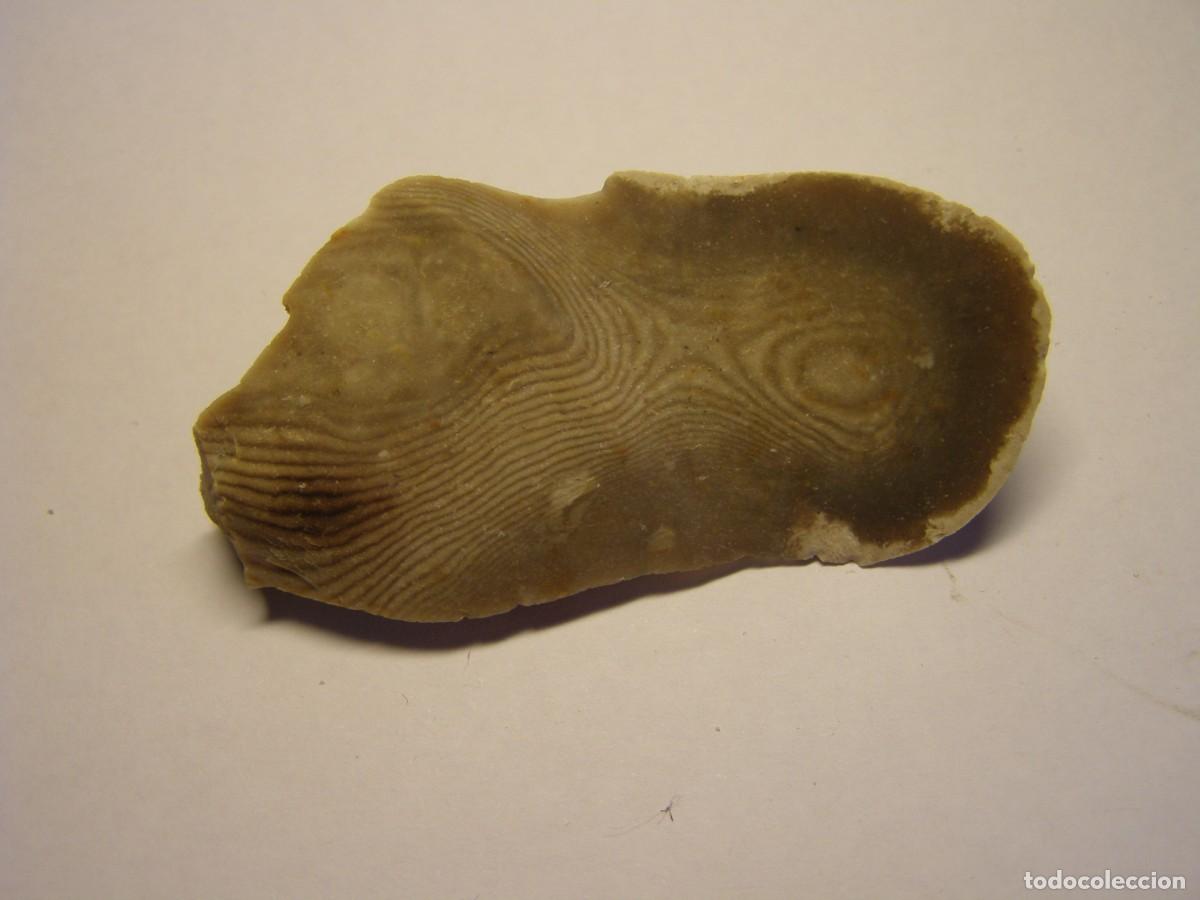 Coleccionismo de minerales: Trozo de mineral de s&iacute;lex con curiosos anillos de Liesegang.