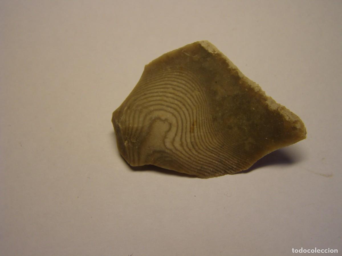Coleccionismo de minerales: Trozo de mineral de s&iacute;lex con curiosos anillos de Liesegang.
