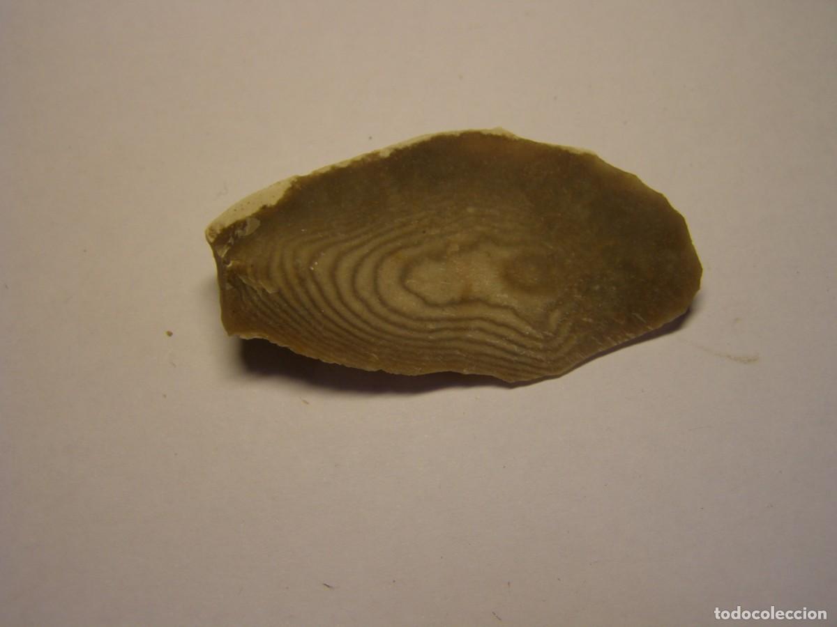 Coleccionismo de minerales: Trozo de mineral de s&iacute;lex con curiosos anillos de Liesegang.