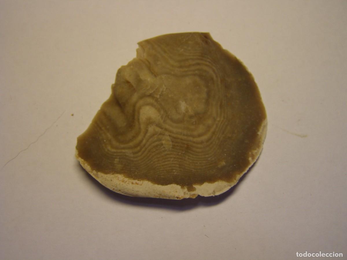 Coleccionismo de minerales: Trozo de mineral de s&iacute;lex con curiosos anillos de Liesegang.