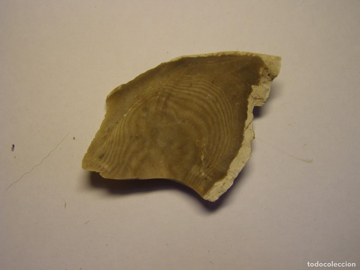 Coleccionismo de minerales: Trozo de mineral de s&iacute;lex con curiosos anillos de Liesegang.