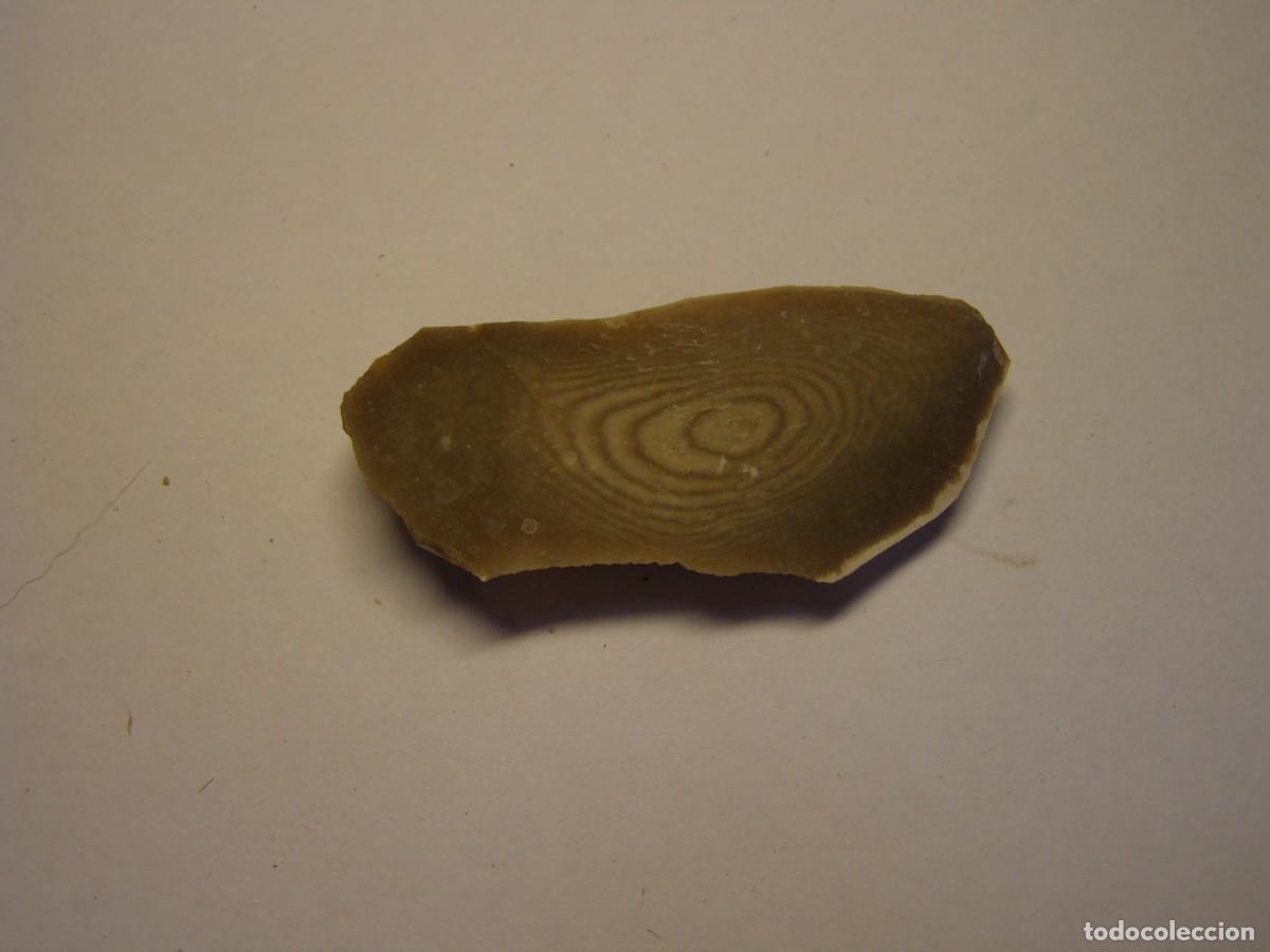 Coleccionismo de minerales: Trozo de mineral de s&iacute;lex con curiosos anillos de Liesegang.