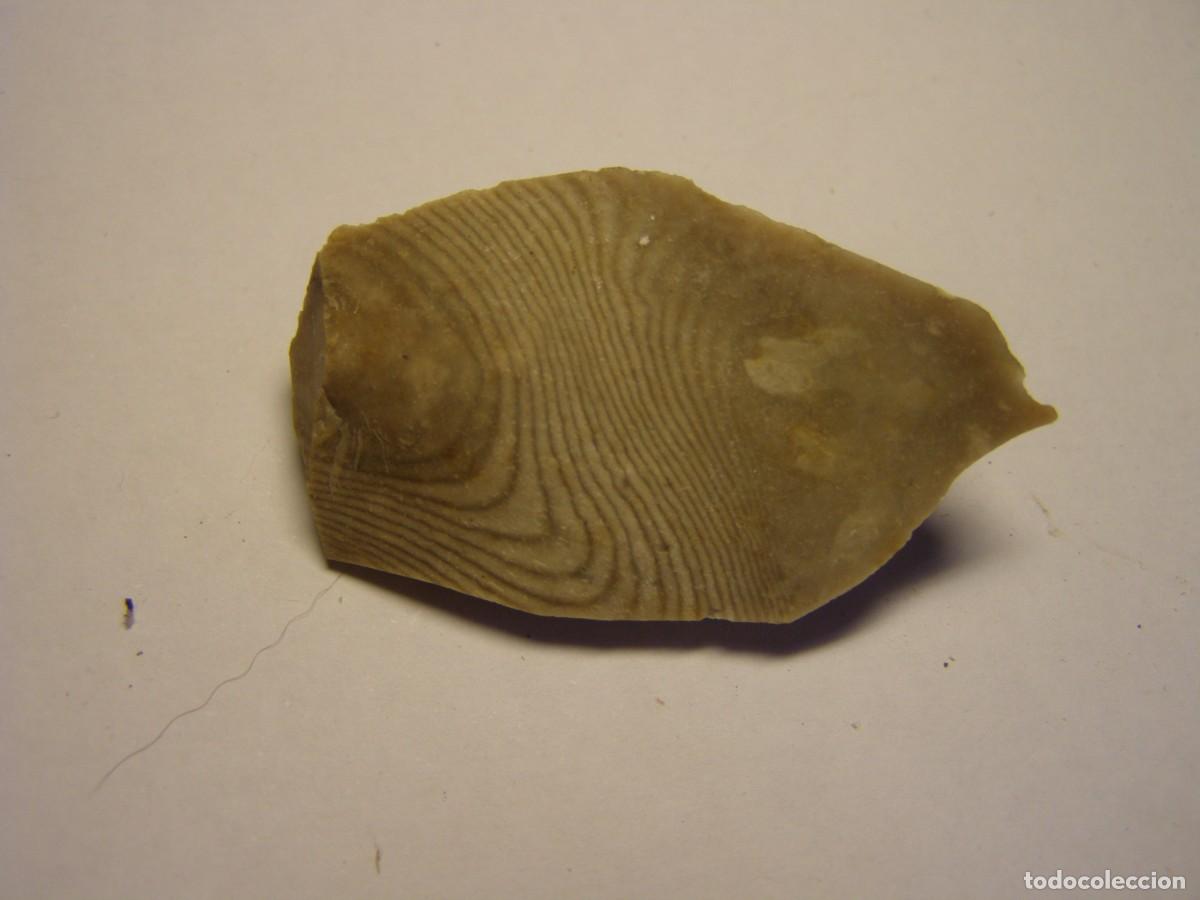 Coleccionismo de minerales: Trozo de mineral de s&iacute;lex con curiosos anillos de Liesegang.
